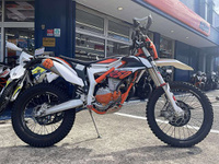 ＫＴＭ　ＦＲＥＥＲＩＤＥ２５０Ｆ