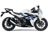 ＧＳＸ２５０Ｒ