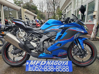 Ｎｉｎｊａ　ＺＸ－４Ｒ　ＳＥ