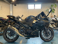Ｎｉｎｊａ　２５０
