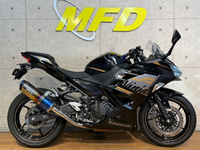 Ｎｉｎｊａ　２５０