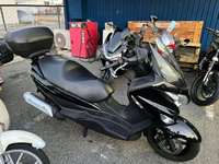 バーグマン２００