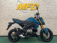 Ｚ１２５　ＰＲＯ