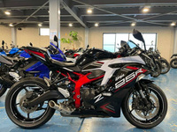 Ｎｉｎｊａ　ＺＸ－２５Ｒ