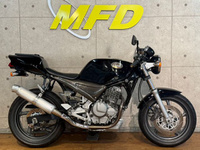 グース２５０