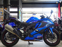 Ｎｉｎｊａ　ＺＸ－４Ｒ　ＳＥ