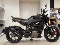 ハスクバーナ　Ｓｖａｒｔｐｉｌｅｎ２５０