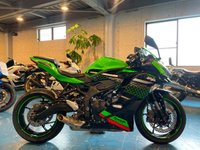 Ｎｉｎｊａ　ＺＸ－２５Ｒ