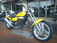 マグナ50