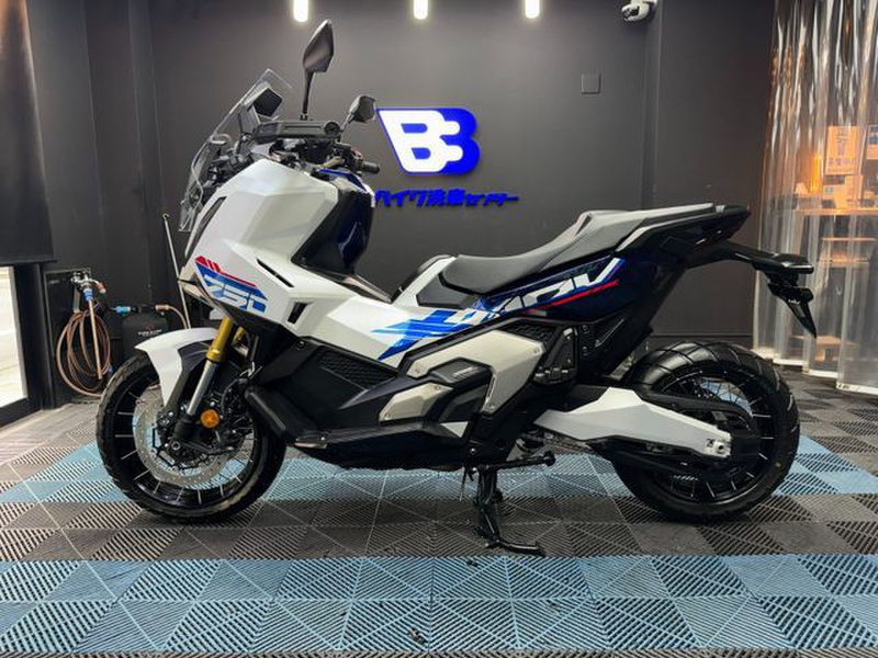 adv pcg dp pt bw xy ノーマル　まとめ売り　2806枚 adv pcg dp pt bw xy ノーマル まとめ売り 2806枚 画像 No.9/12