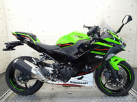 Ｎｉｎｊａ　２５０