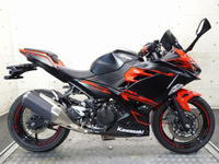 Ｎｉｎｊａ　２５０