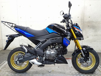 Ｚ１２５　ＰＲＯ