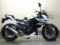 Ｚ２５０
