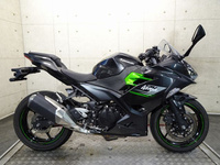 Ｎｉｎｊａ　２５０