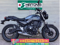 Ｚ６５０ＲＳ