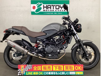 VTR250