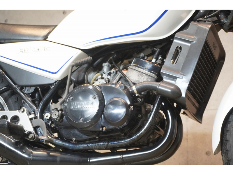 esutack 専用　RZ250 楽天市場】ハセガワ 1/12 ヤマハ RZ250(4L3)(1980) 【再販