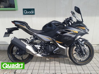 Ｎｉｎｊａ　４００