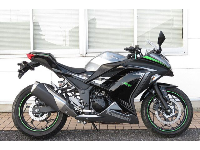 2015年式 カワサキ NINJA 250改の中古 実走24,000キロ弱 - カワサキ