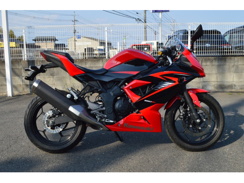 カワサキ Ninja 250SL (1195193) | 中古バイク・新車の事