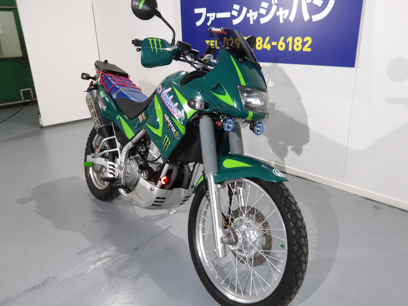 カワサキ KLE250アネーロ (1219375) | 中古バイク・新車の事なら