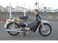 リトルカブ セル