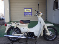 リトルカブ セル