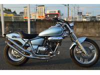 マグナ５０