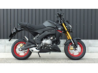 Ｚ１２５　ＰＲＯ
