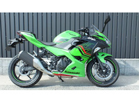 Ｎｉｎｊａ　２５０