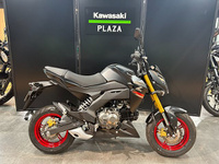 Ｚ１２５　ＰＲＯ