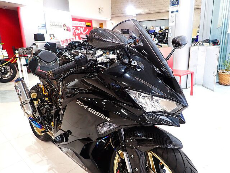 【海外限定】 カワサキ Ninja オーリンズ他 ゲイルスピード ZX－25R ネイルパーツ