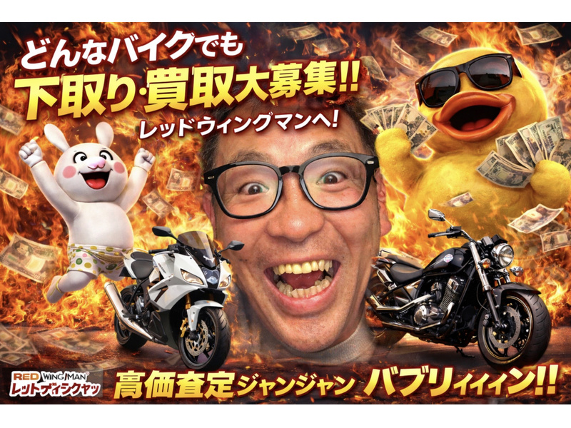 カワサキ Ninja ZX－14R ABS (1188985) | 中古バイク