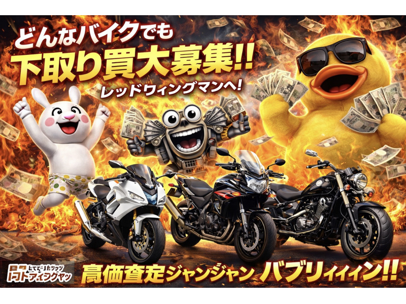 カワサキ Ninja ZX－14R ABS (1188985) | 中古バイク