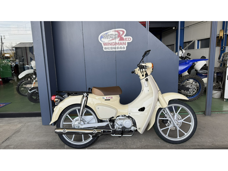 カブ110 スーパーカブ/110(AA01/JA07) -since 2008- - バイクの系譜