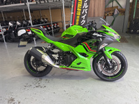 Ｎｉｎｊａ　２５０
