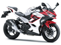 Ｎｉｎｊａ　２５０