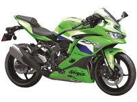Ｎｉｎｊａ　ＺＸ－２５ＲＲ