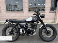マットモーター　ＭＡＳＴＩＦＦ２５０