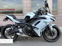 Ｎｉｎｊａ　６５０　ＡＢＳ