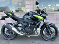 Ｚ２５０