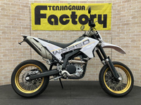 WR250X