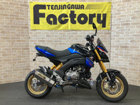 Ｚ１２５　ＰＲＯ