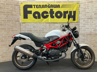 VTR250