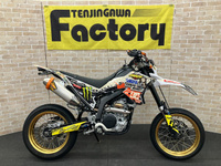 WR250X