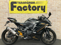 Ｎｉｎｊａ　ＺＸ－２５Ｒ　ＳＥ