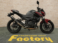 Ｚ２５０