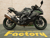 Ｎｉｎｊａ　ＺＸ－４Ｒ　ＳＥ