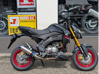 Ｚ１２５　ＰＲＯ